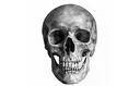 skull1