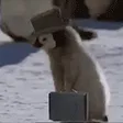 penguinbusinessman
