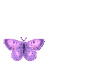 c_purple21 Discord Emoji