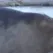 sealPOG