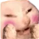 blushngcat Discord Emoji