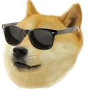 doge doge