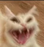 wheeze