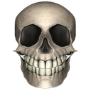 skull1