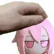 koko_pet