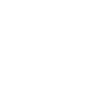 dumbbitch