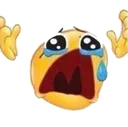 ywhyyyycry Discord Emoji