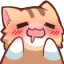 nekogasm