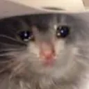 Sad Cat sad_cat Discord Emoji