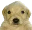 emoji_112