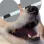 suskek