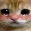blushycry