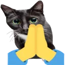Praycat