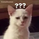 bitchwhat