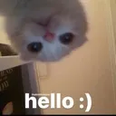hello hello