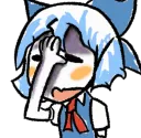 cirnoFacepalm Discord Emoji