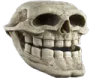 1254 Trollskull Discord Emoji
