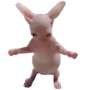 binglet