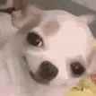 emoji_7 emoji_7