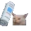 cat_sam_favorite
