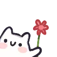 tinakiFlower tinakiFlower