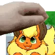 flareonpetpet