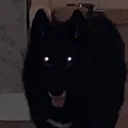 youhavemereseconds