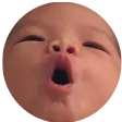 pogbaby
