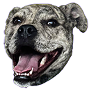 elliesmile Discord emoji