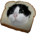 catbread catbread