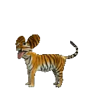 bengalmau5