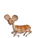 deermau5