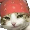 RicardoCat