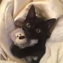 sleepbitch