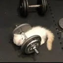 weight