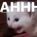 ahhhhhhhhh