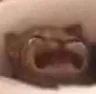 waaa waaa