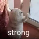 strong
