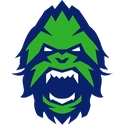 VancouverTitans Discord emoji