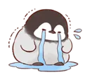PenguCry PenguCry