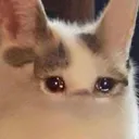 CE_UglyCry CE_UglyCry