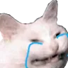Sad Cat sad_cat Discord Emoji