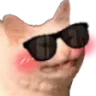 Blush Cat blush_cat Discord Emoji