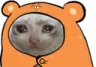 umaru_cat_cry Discord Emoji