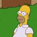 homer_disappear