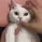 CE_Anger2 CE_Anger2