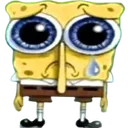spongecry