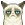 grumpycat grumpycat