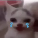 poggywoggtbutsadder