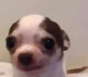 hk_wat Discord emoji